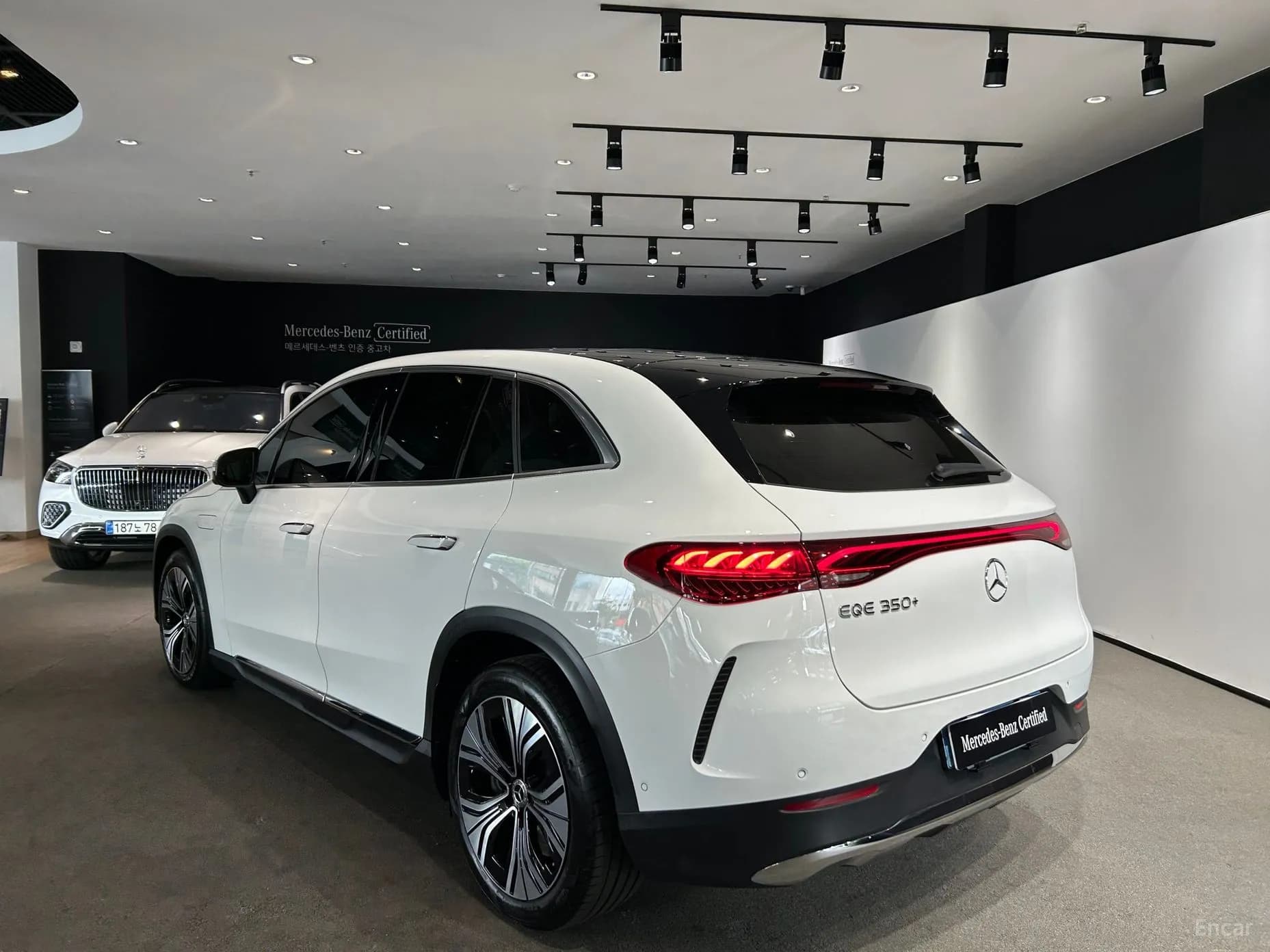 EQE SUV X294