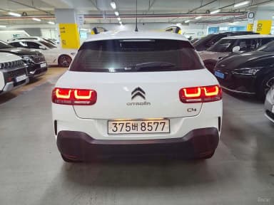 C4 Cocktooth