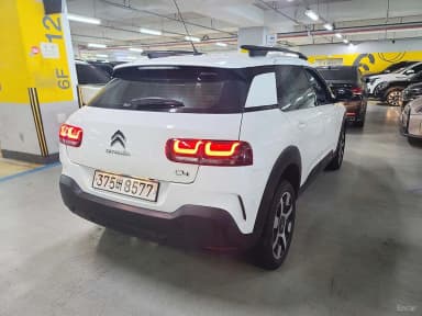C4 Cocktooth