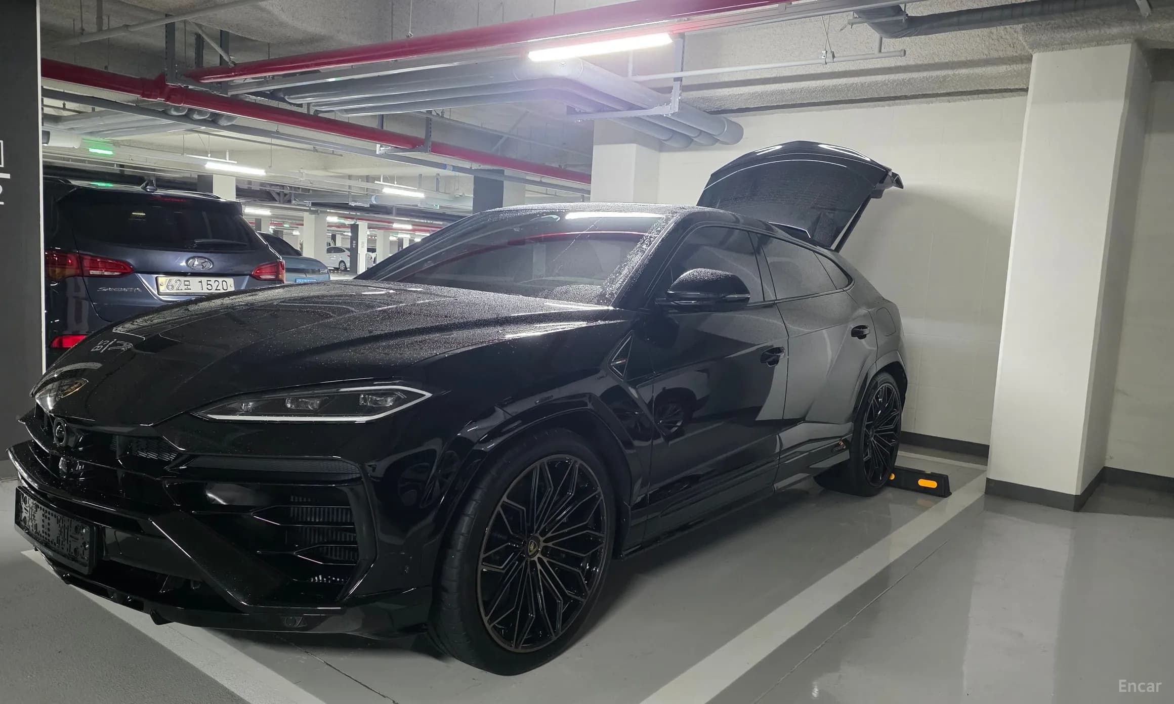 Urus