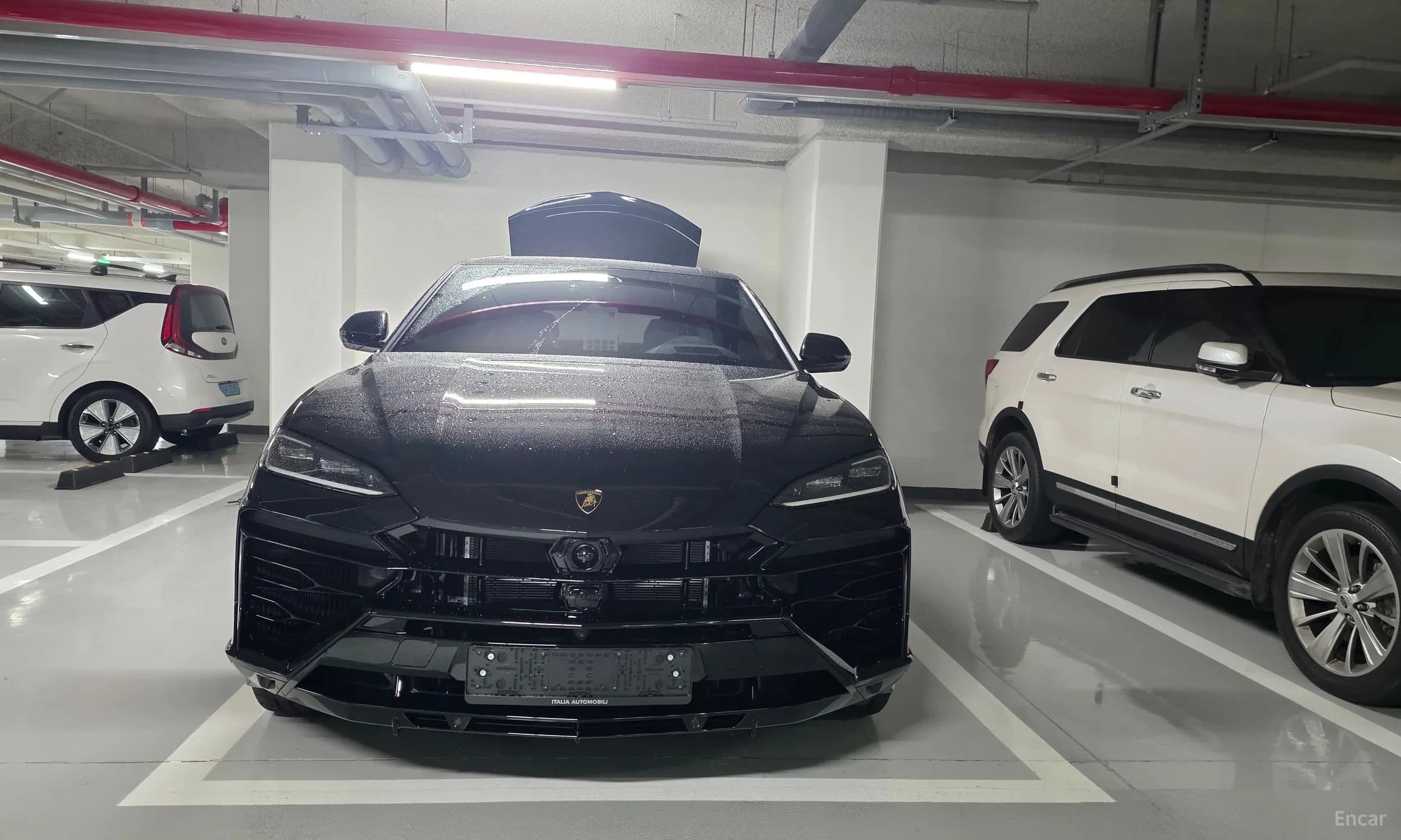 Urus