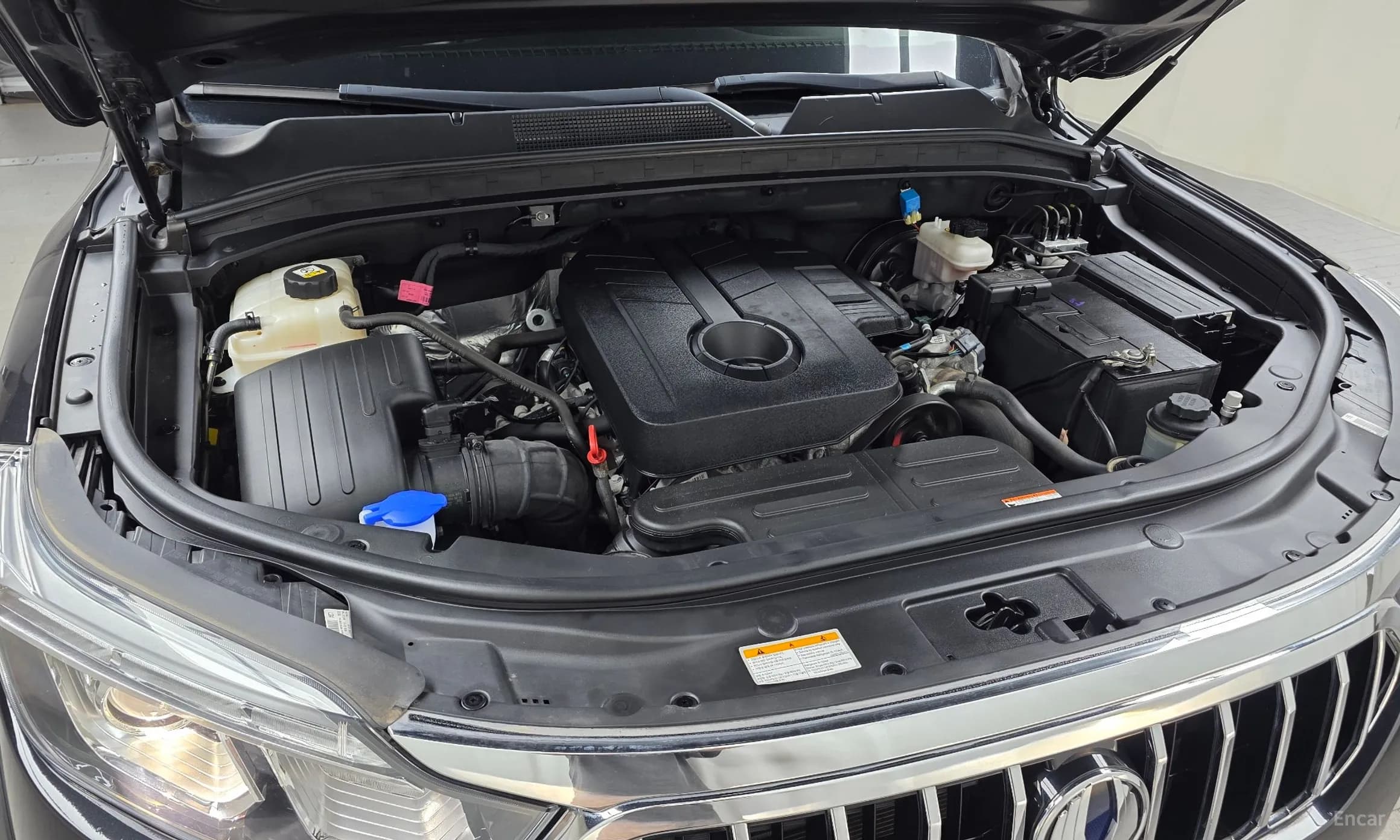Rexton Sports Khan