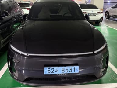 Model Y