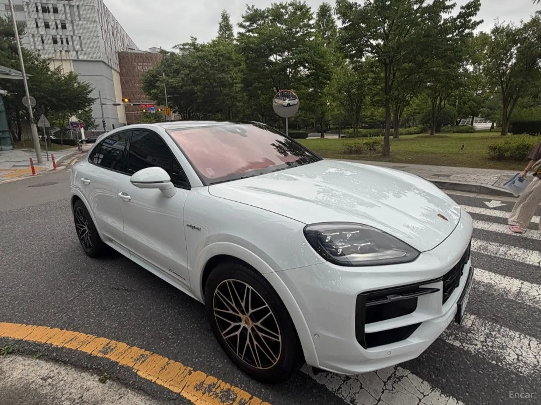 Cayenne (PO536)