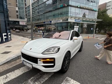 Cayenne (PO536)