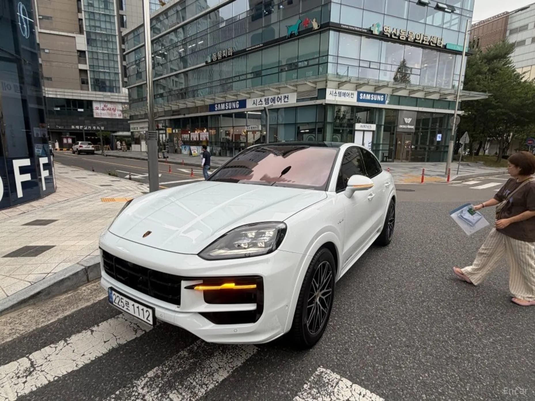 Cayenne (PO536)