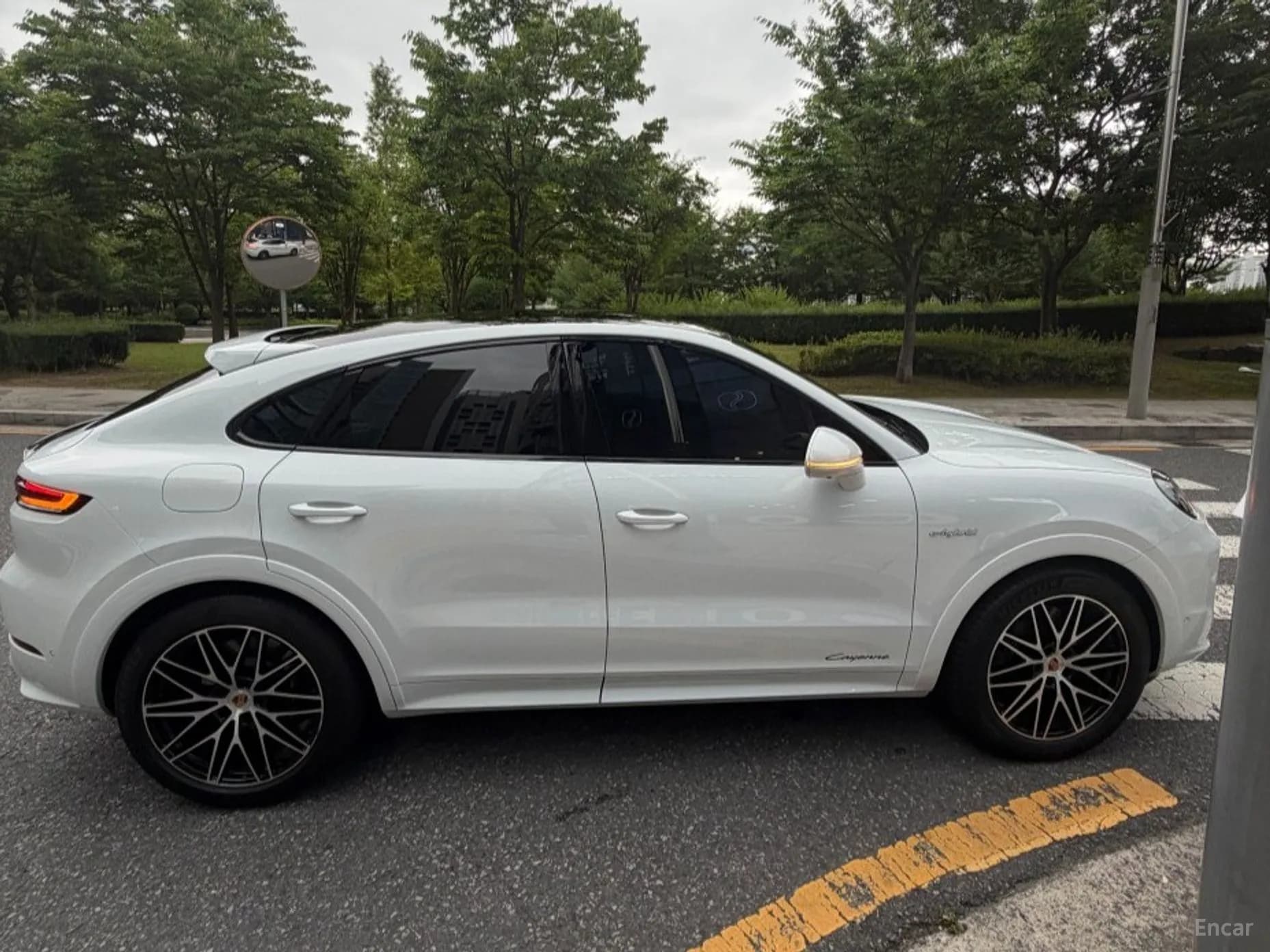 Cayenne (PO536)