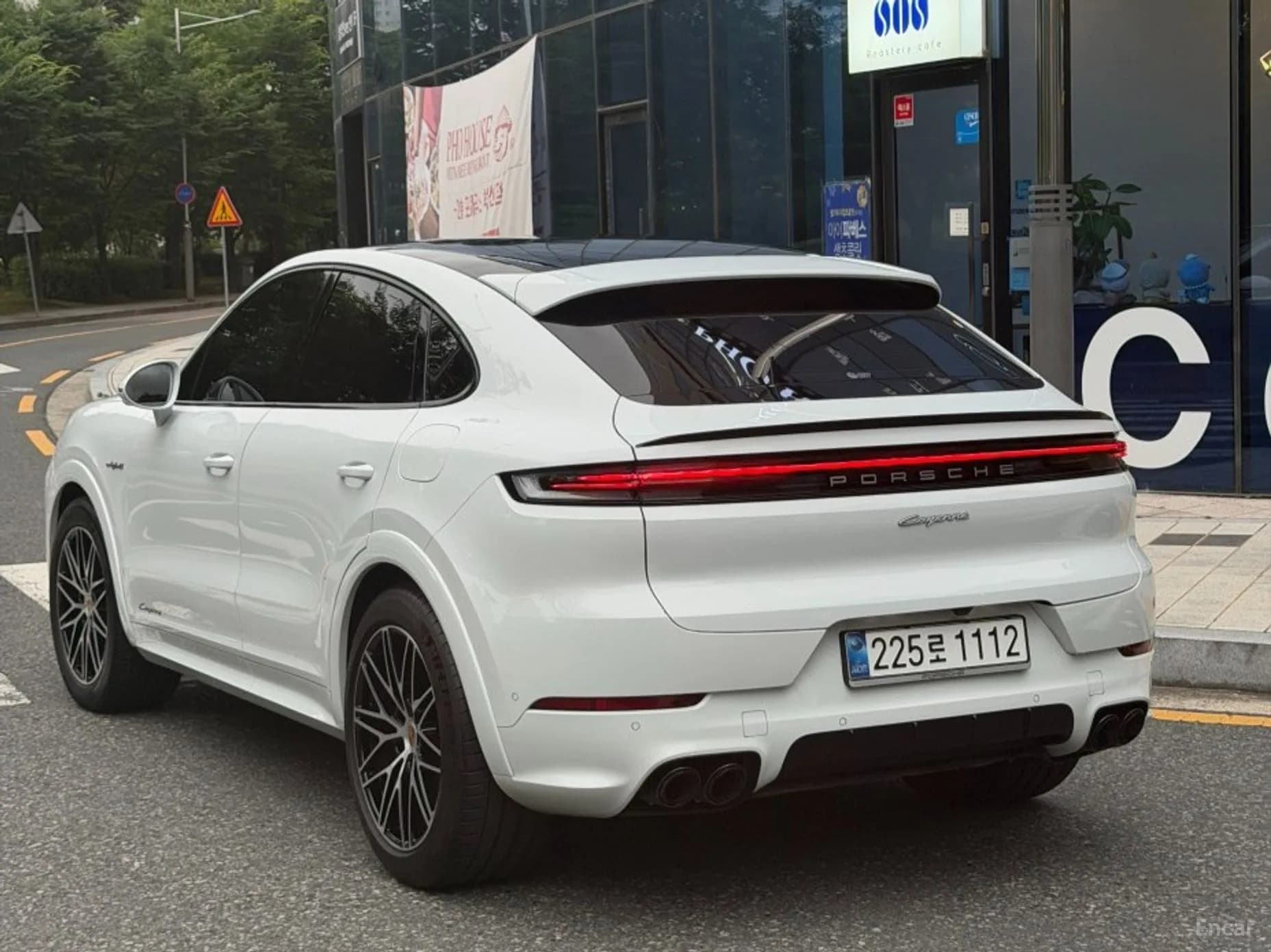 Cayenne (PO536)