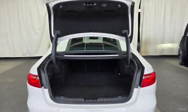 XF (x260)