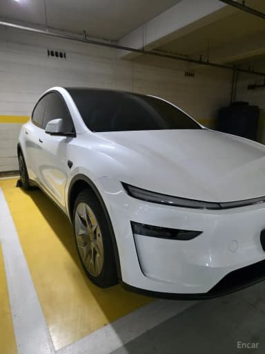Model Y