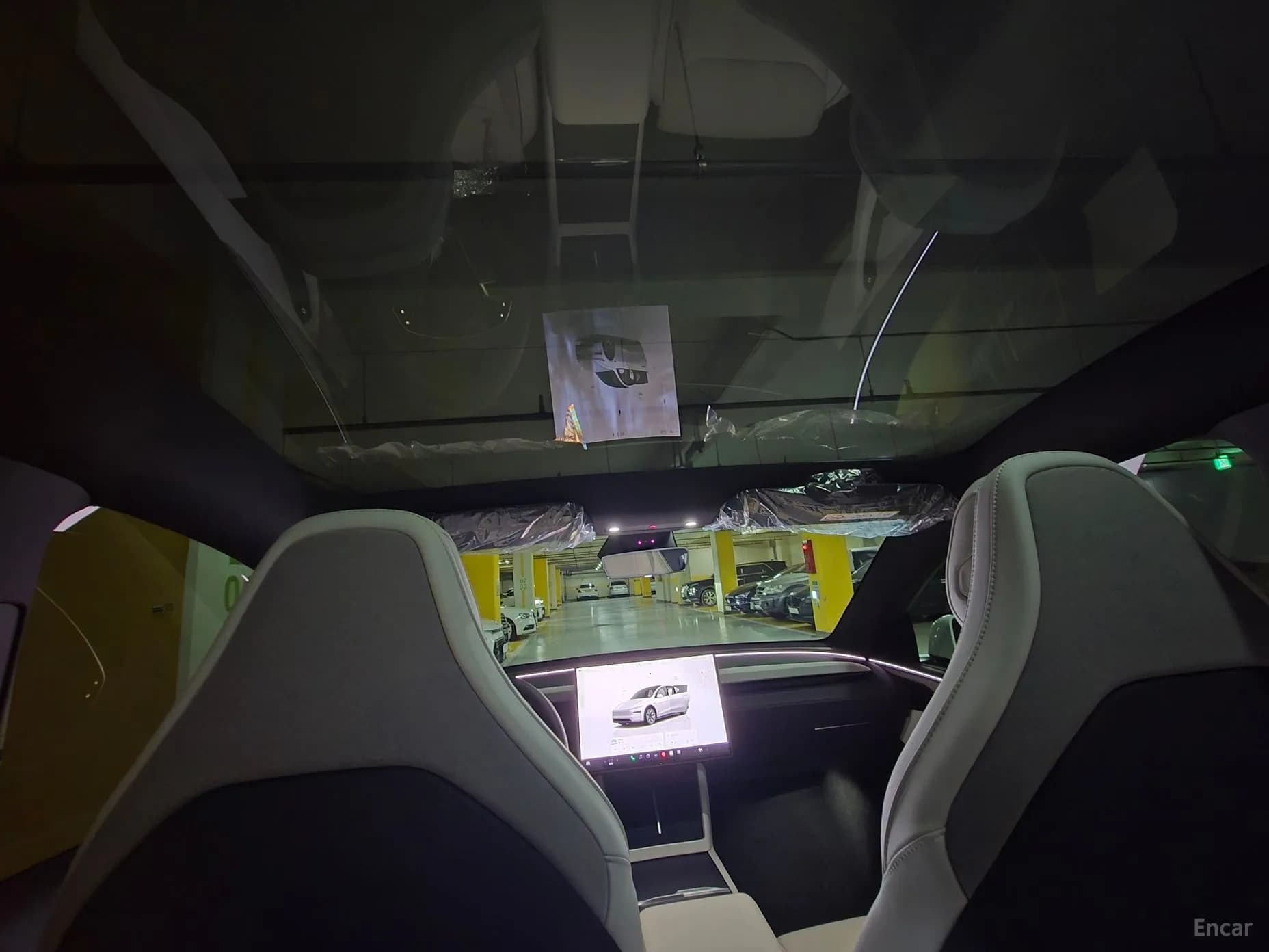 Model Y