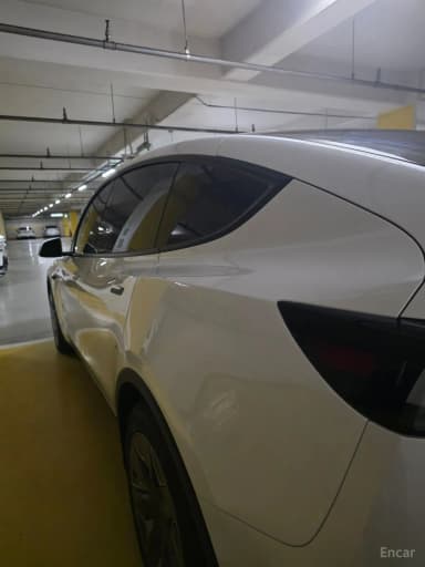 Model Y