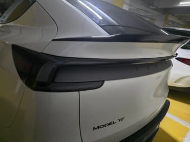 Model Y