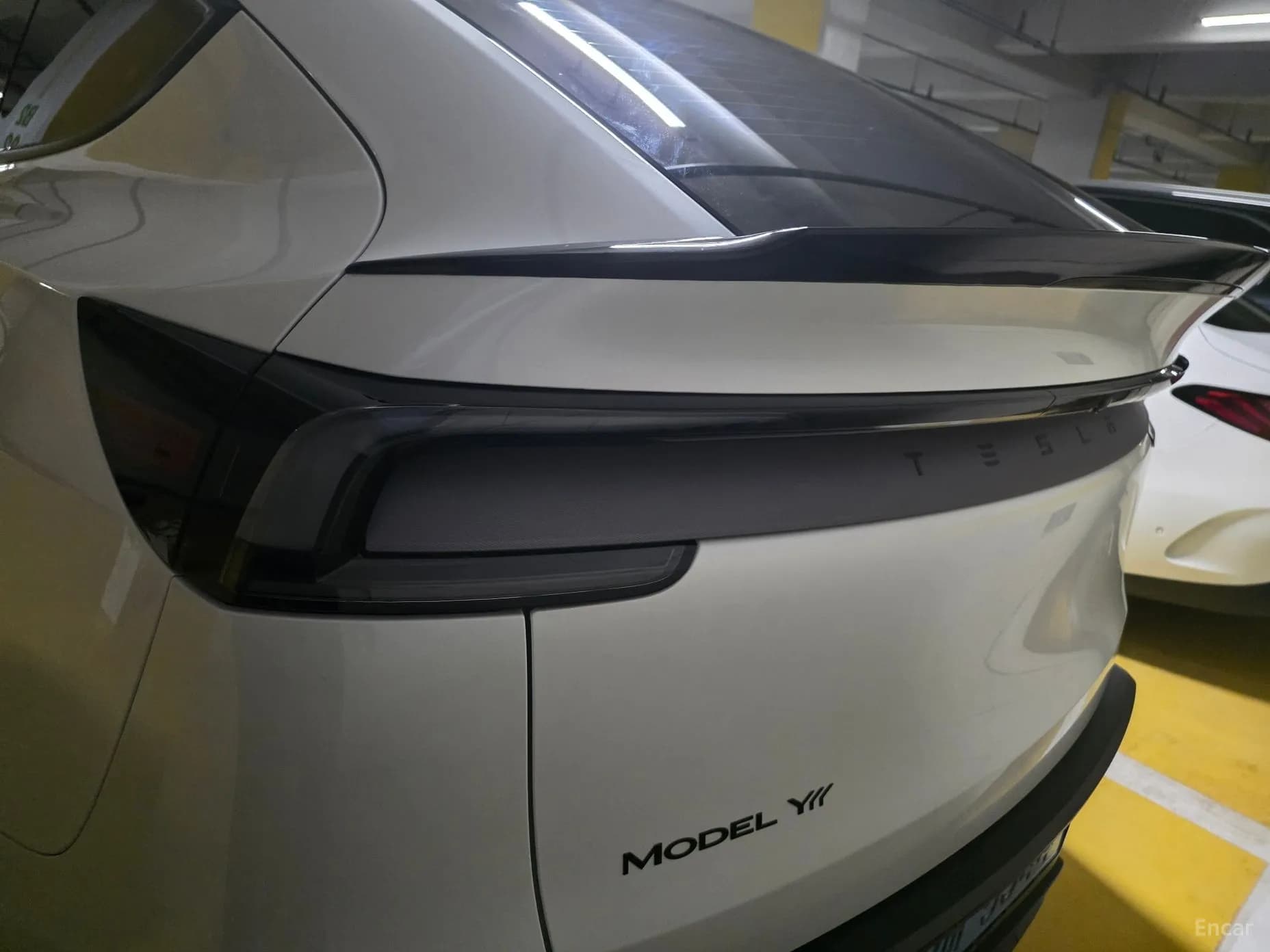 Model Y