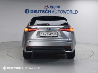 NX300h