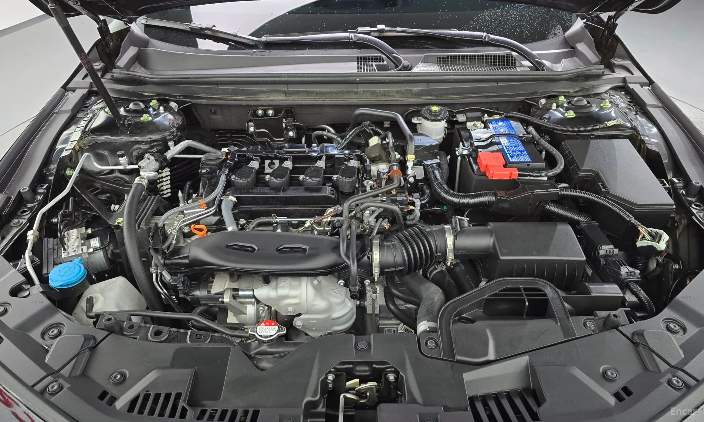 Accord 11th Generation