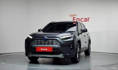 RAV4 5th Generation