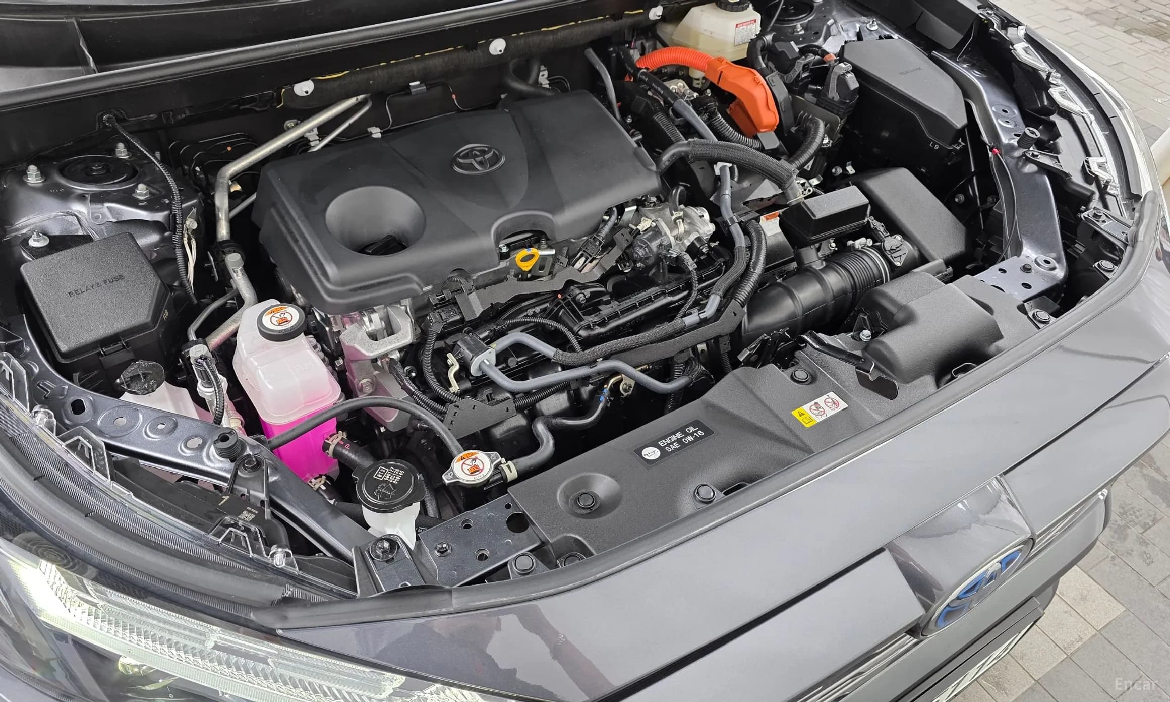 RAV4 5th Generation