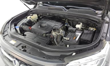 Rexton Sports