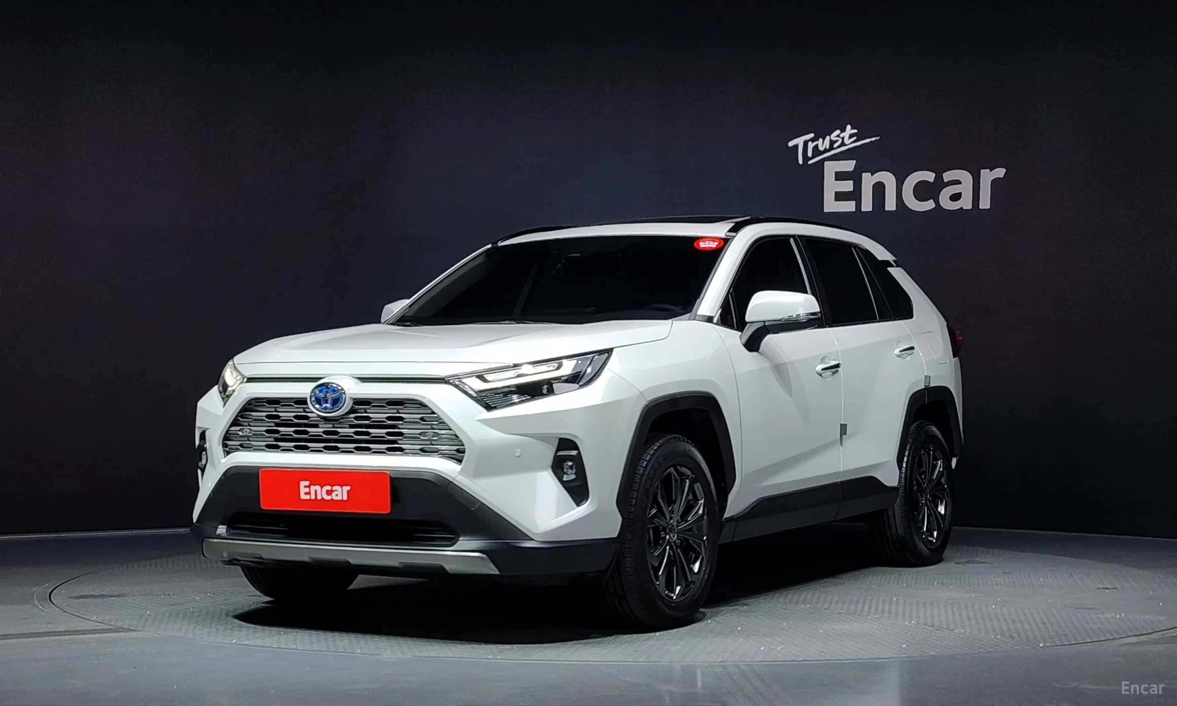 RAV4 5th Generation