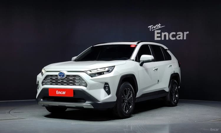 RAV4 5th Generation