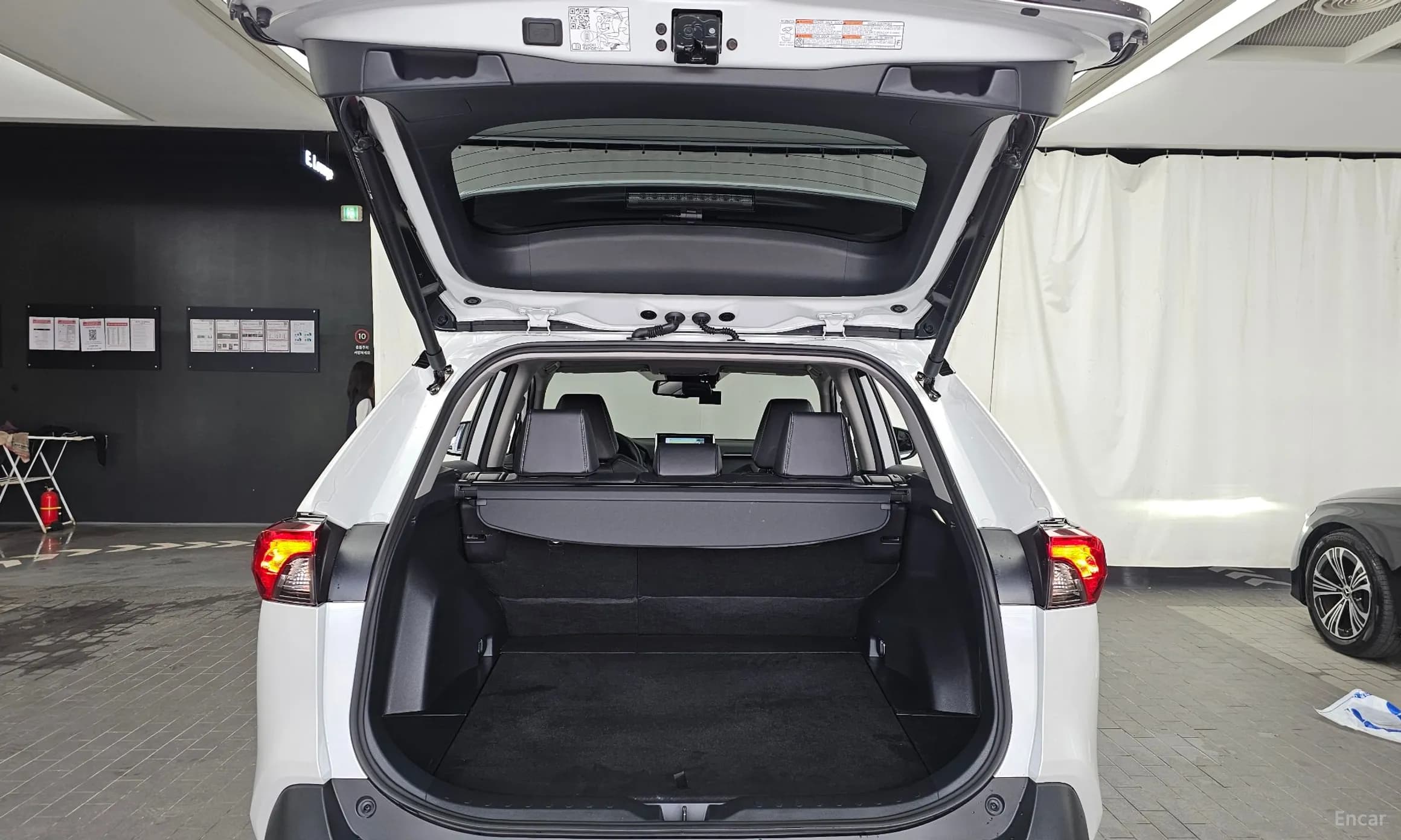 RAV4 5th Generation