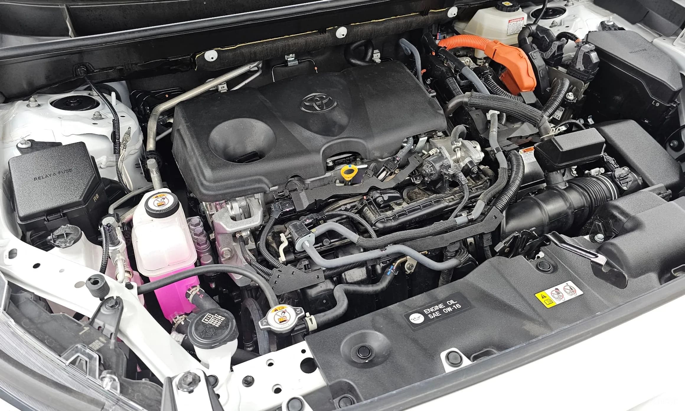 RAV4 5th Generation
