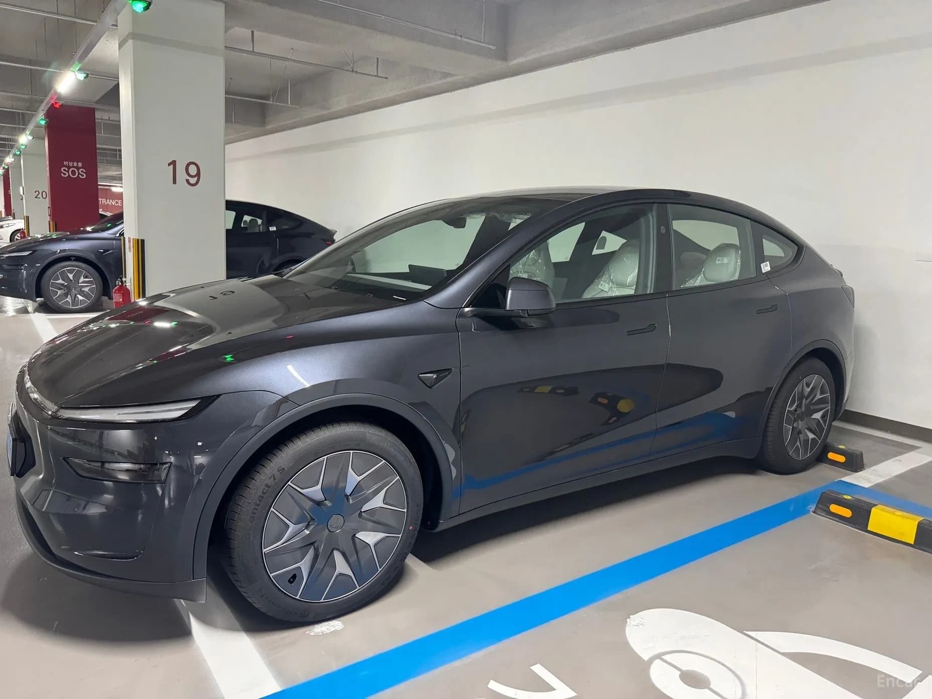 Model Y