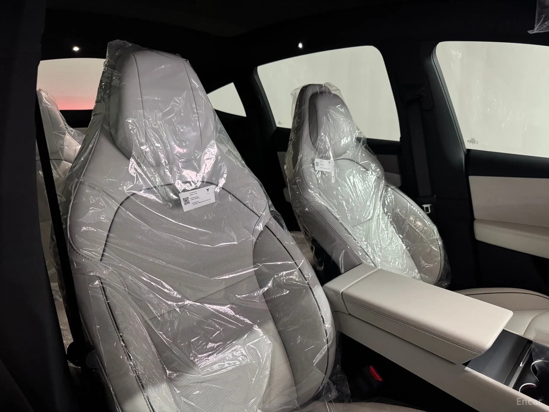 Model Y