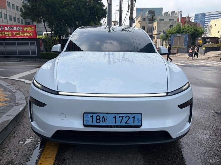 Model Y