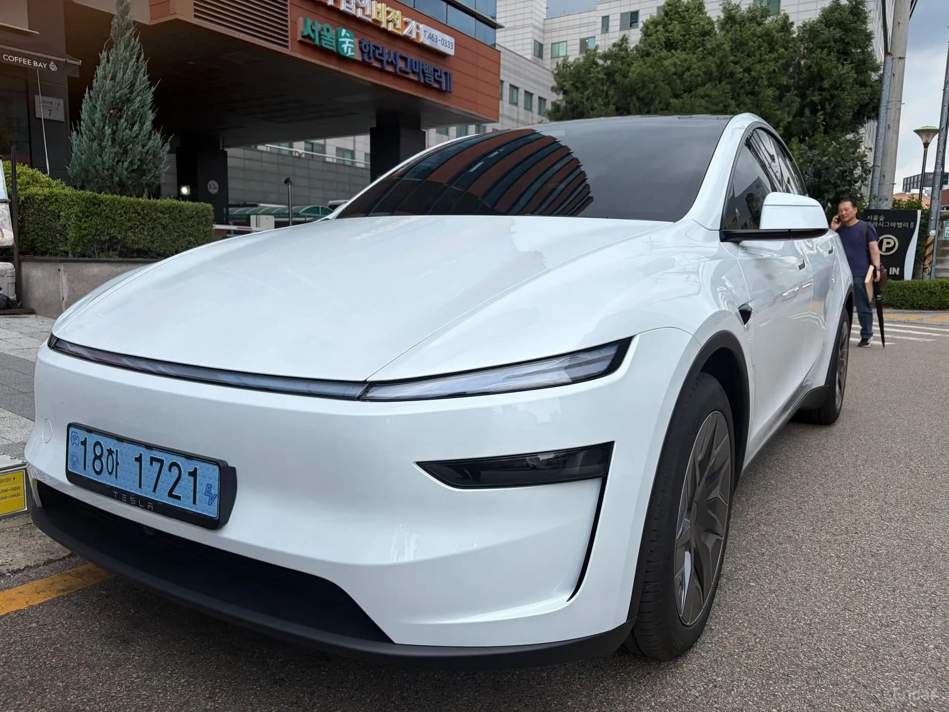Model Y