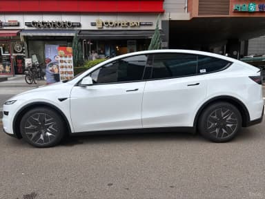 Model Y
