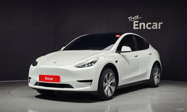 Model Y