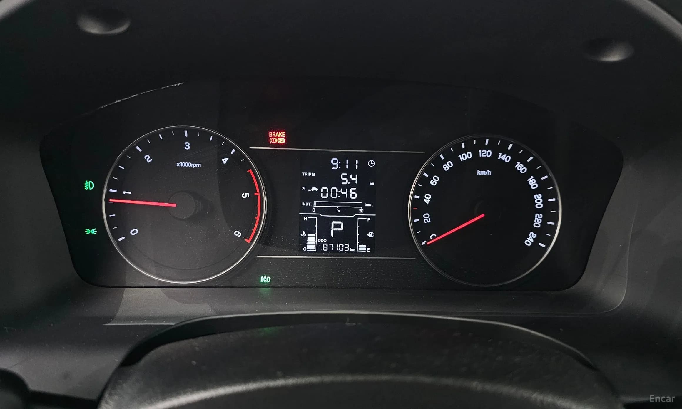 Rexton Sports