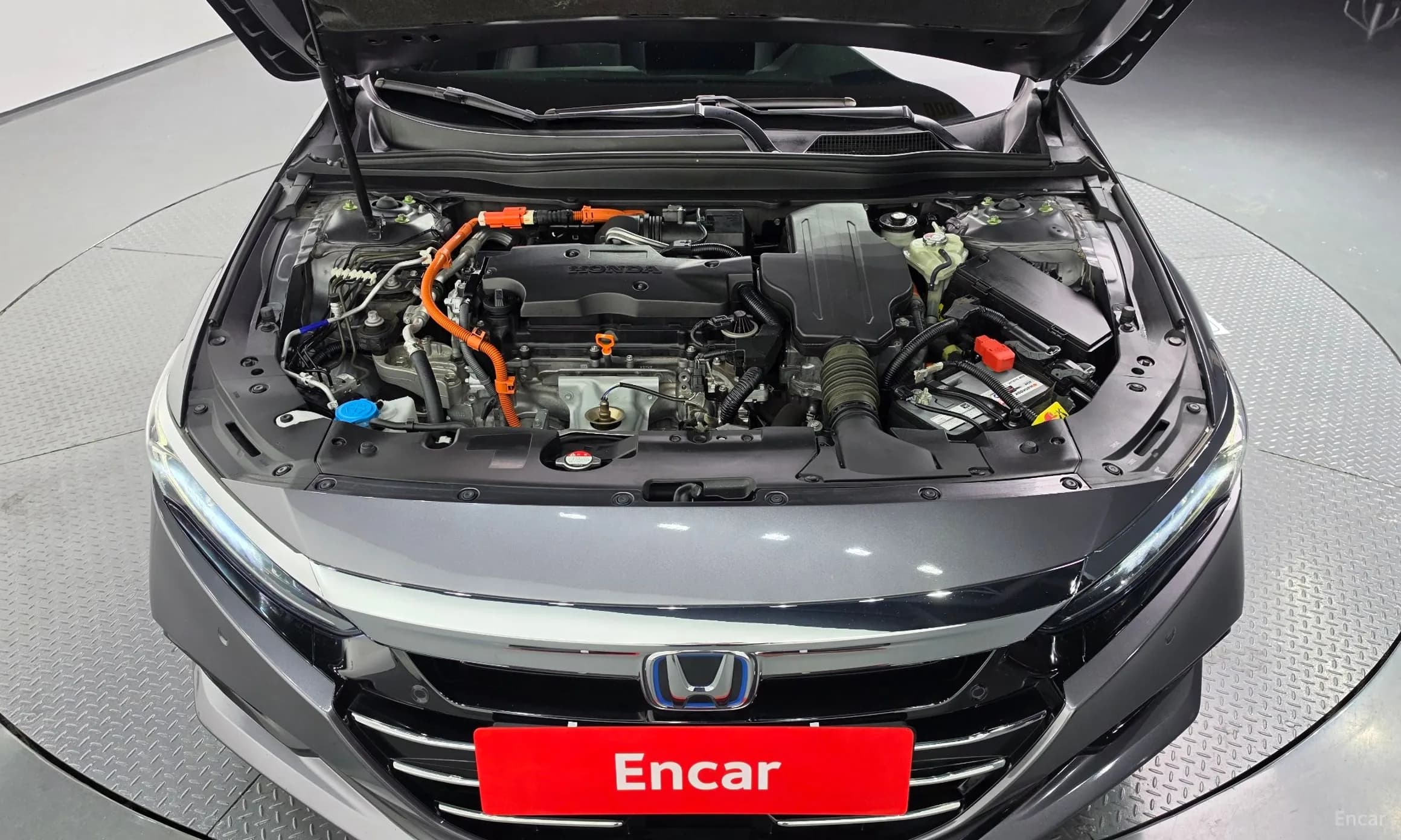 Accord 10th Generation