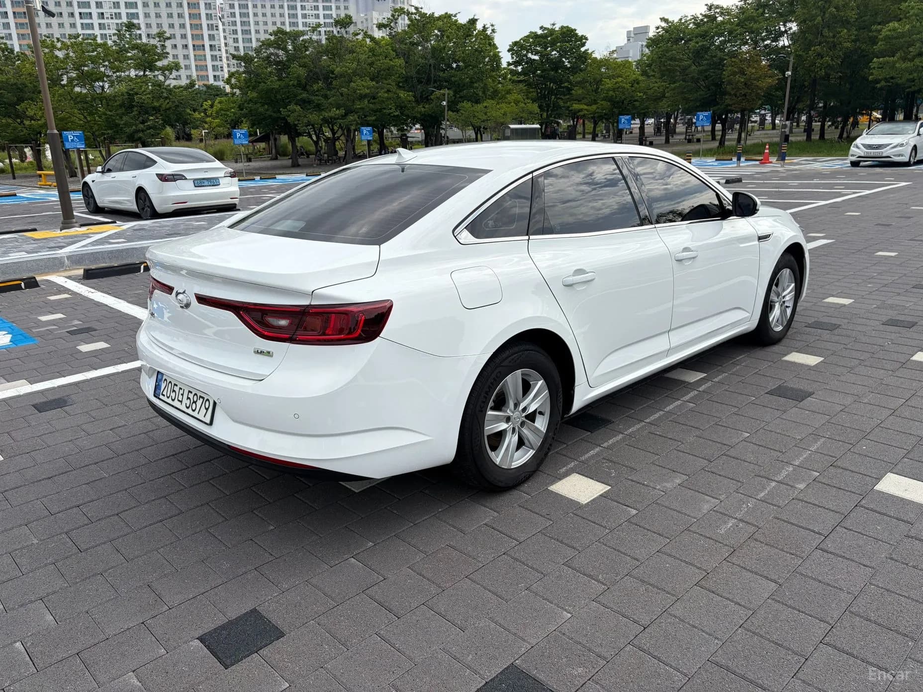 SM6