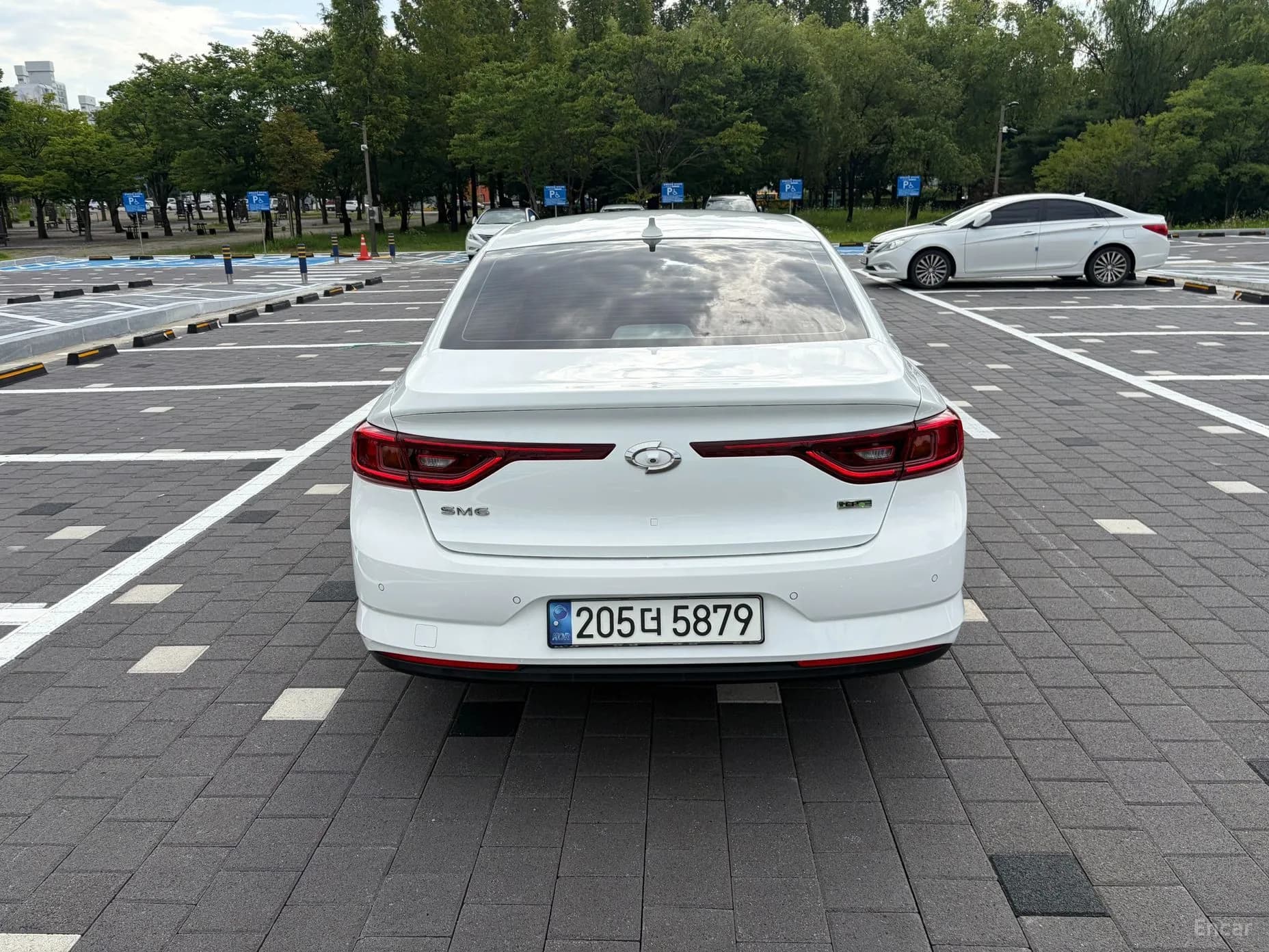 SM6
