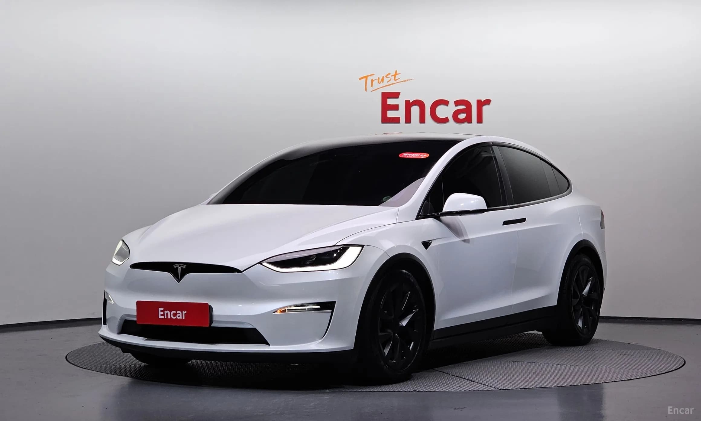 Model X