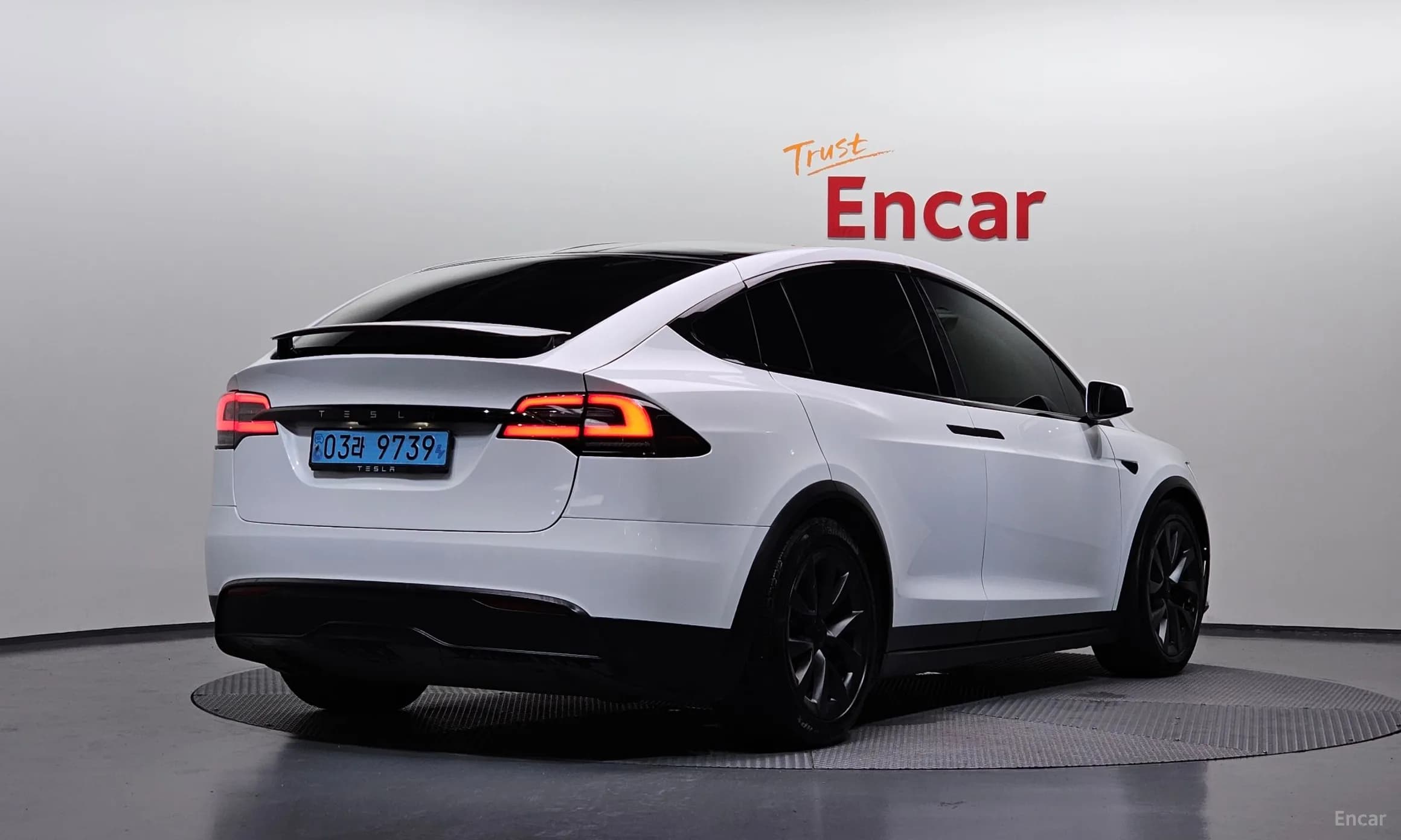 Model X