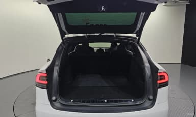 Model X