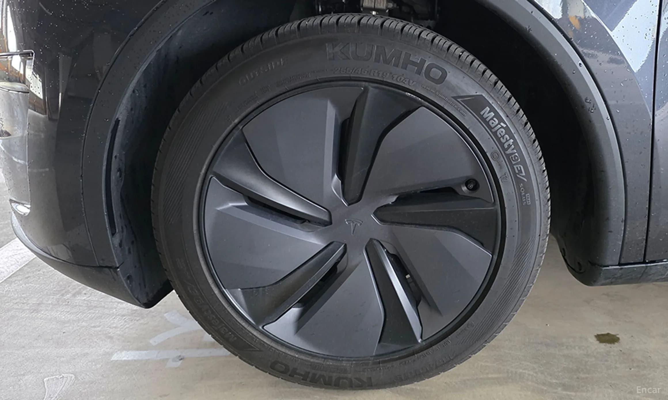 Model Y