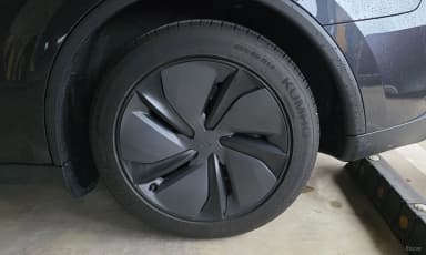 Model Y