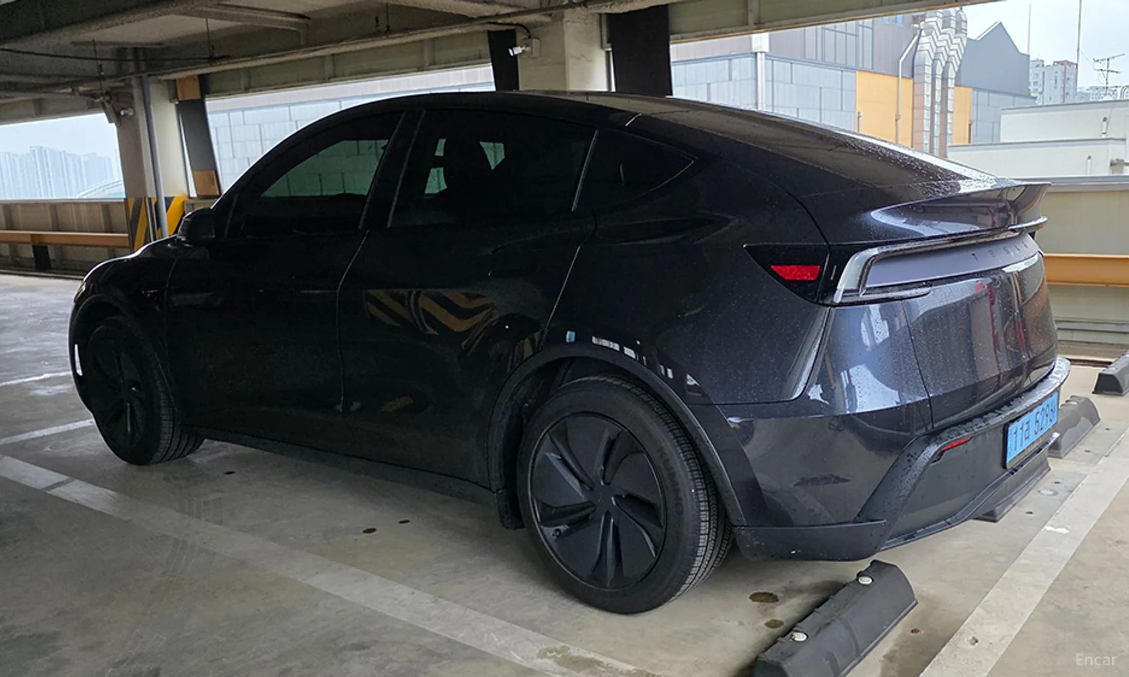 Model Y