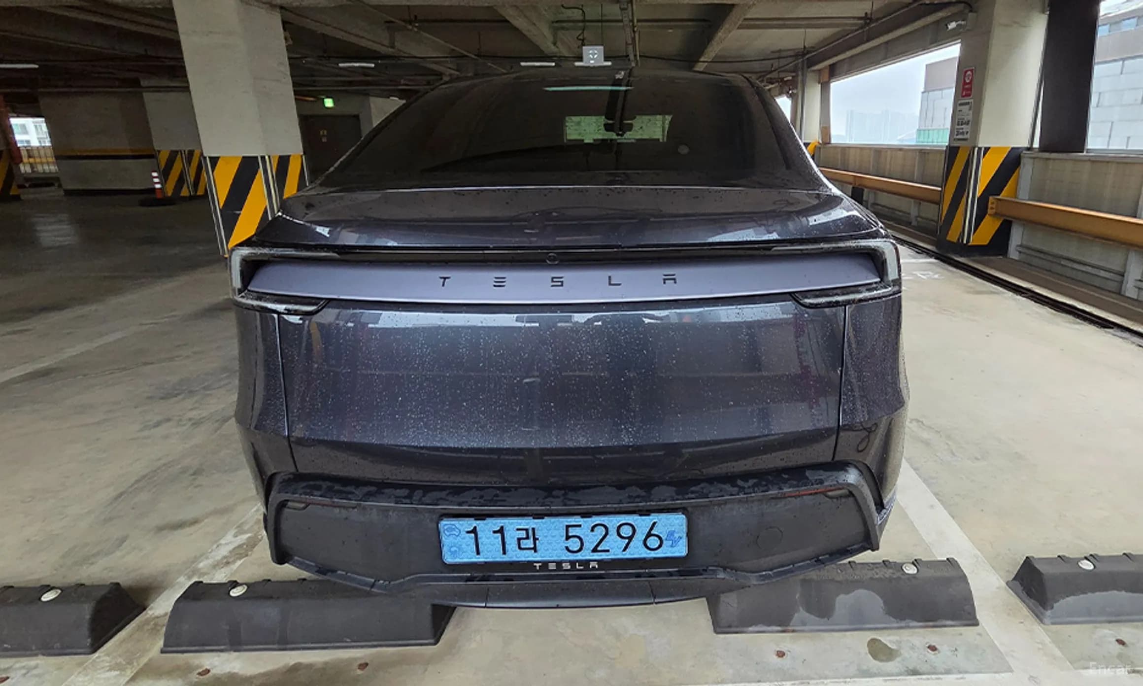 Model Y