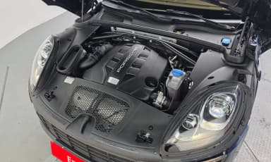 Macan