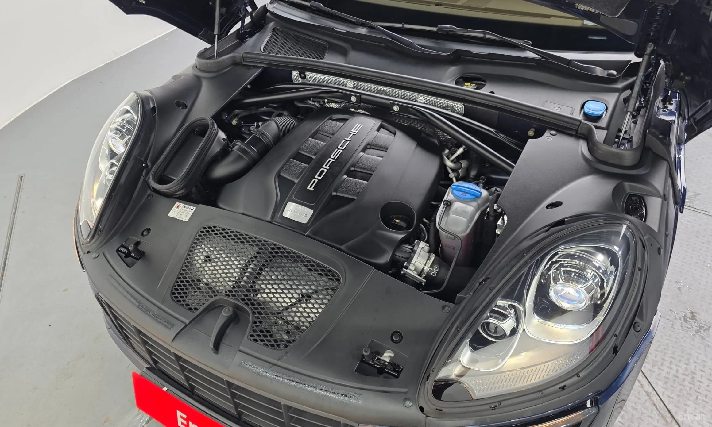 Macan