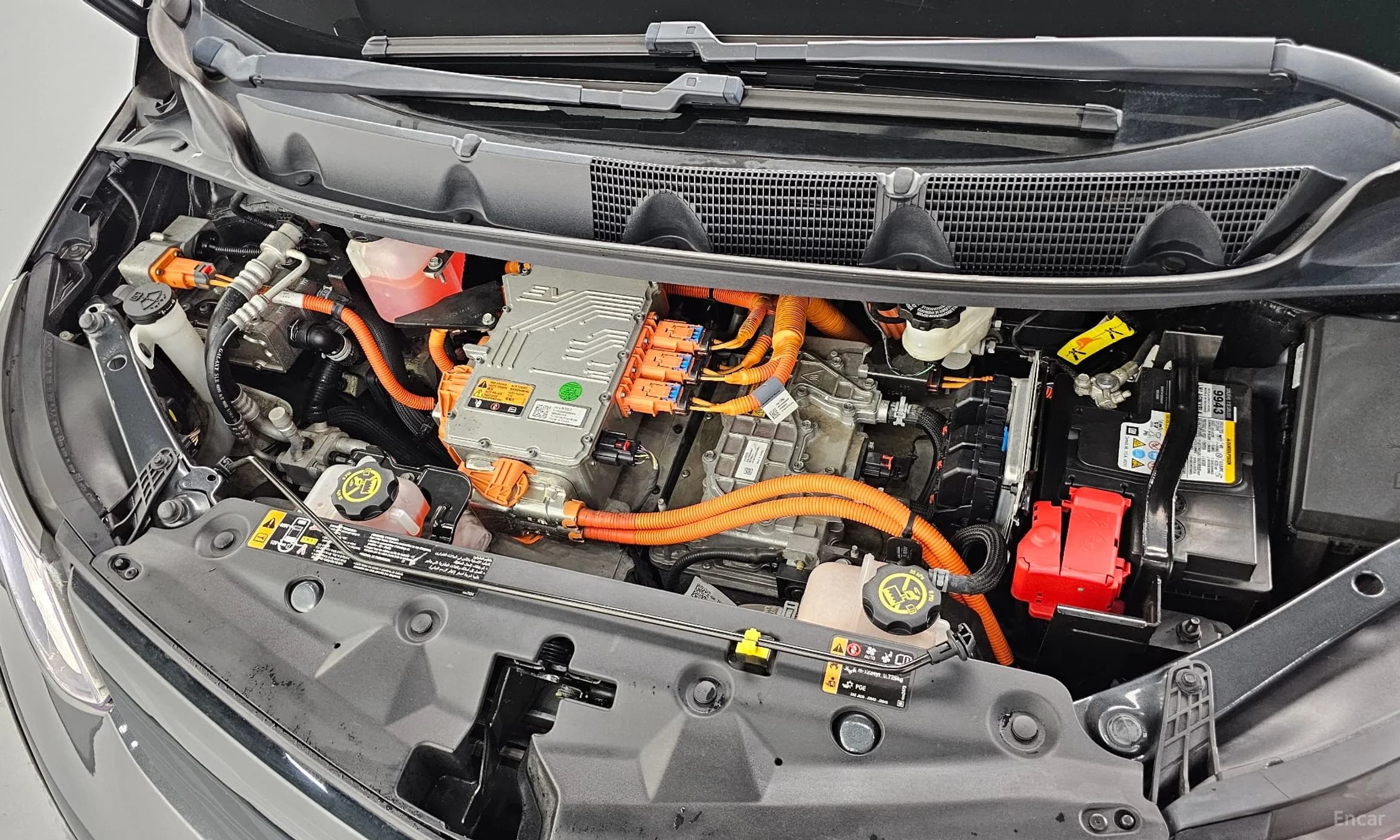 Bolt EV