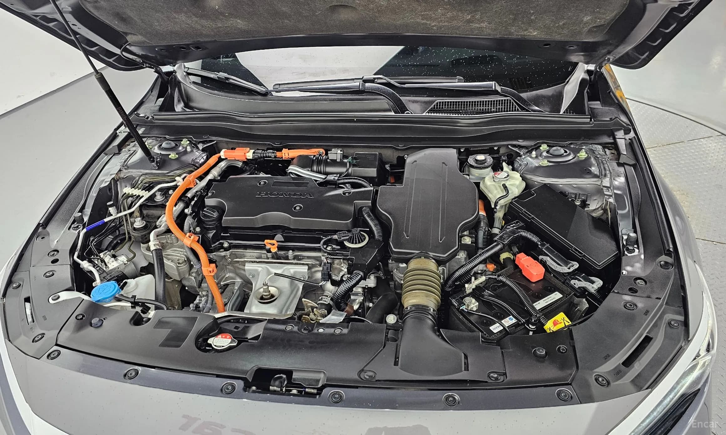 Accord 10th Generation