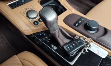 New ES300h
