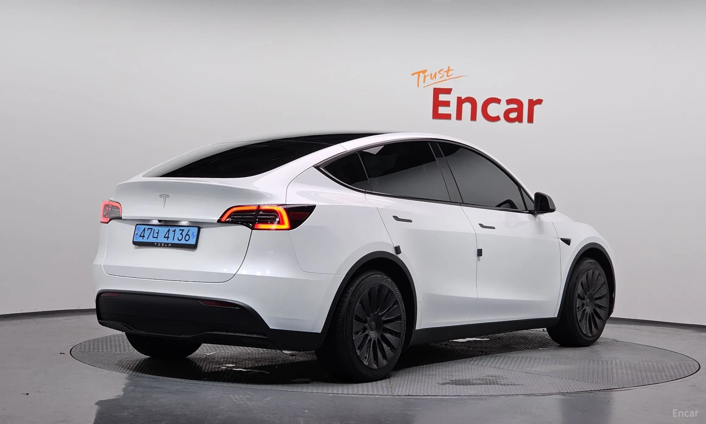 Model Y